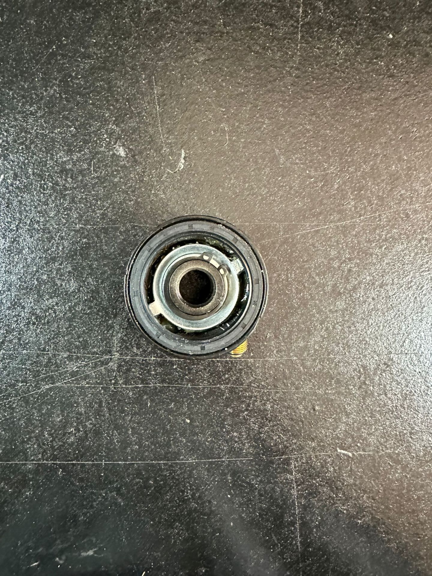 Kral Bien Km Rediktörü