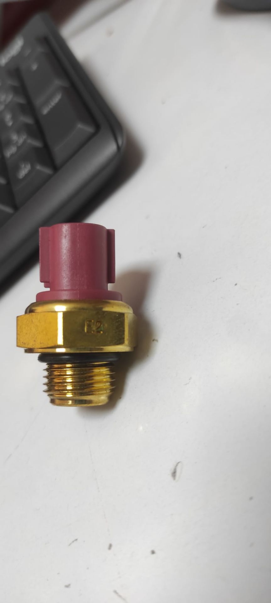 Rock 250 Fan Muşuru