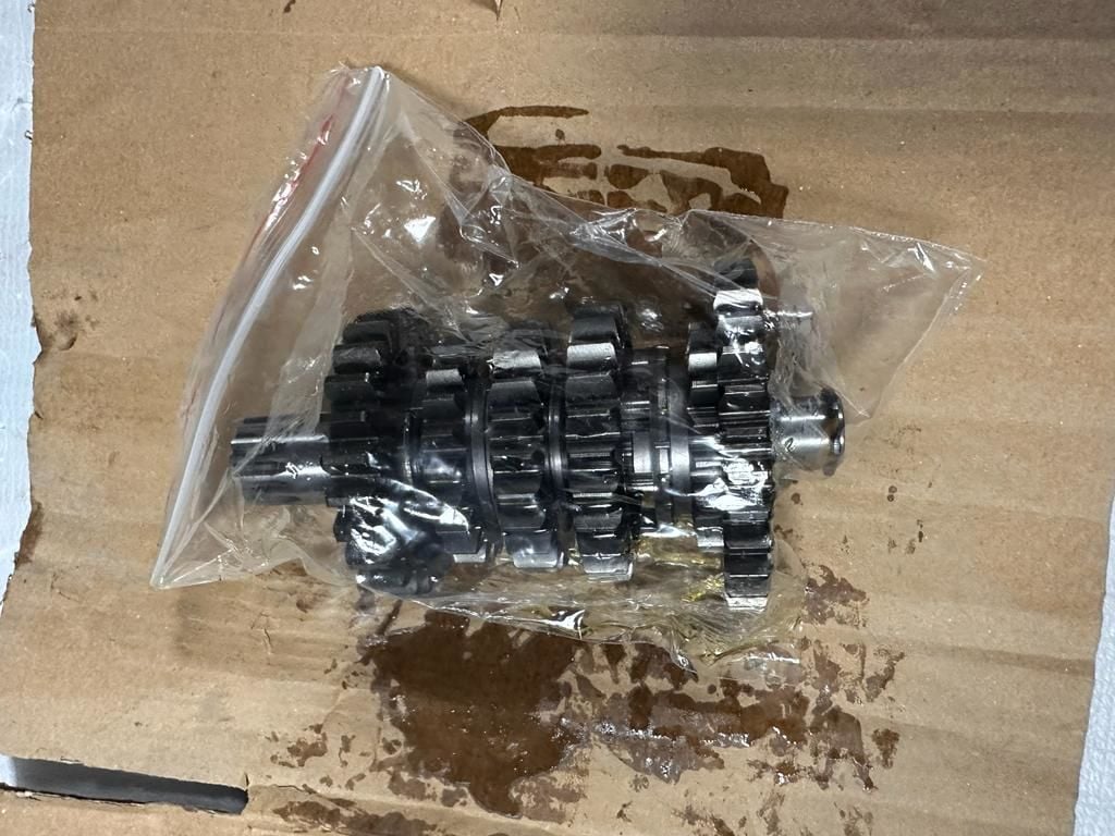 Dırtypaws 300 Z Şanzıman Grup 2