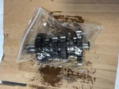 Dırtypaws 300 Z Şanzıman Grup 2