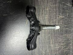 Benda CHINCHILLA Maşa