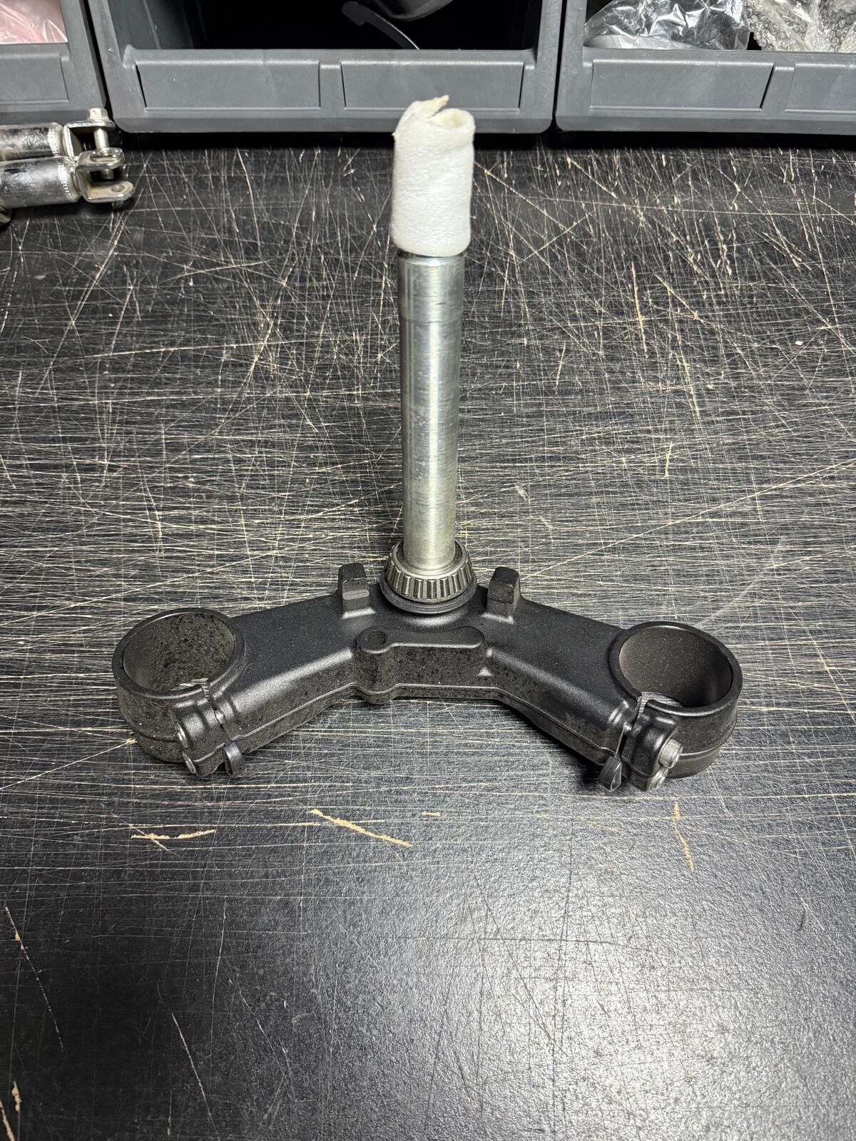 Benda CHINCHILLA Maşa