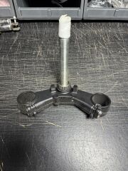 Benda CHINCHILLA Maşa